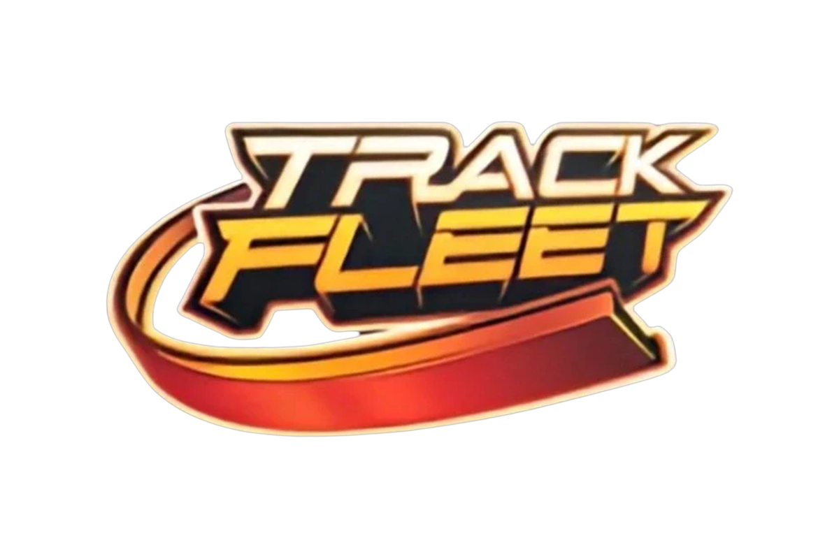 Hot Wheels Track Fleet